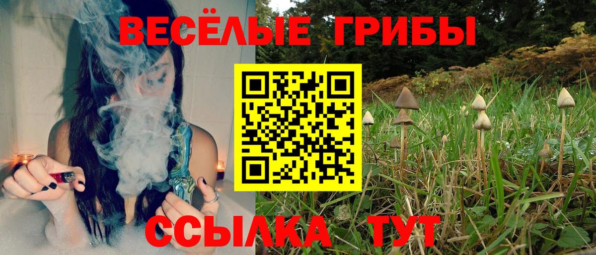 Галлюциногенные грибы Psilocybine cubensis Сатка